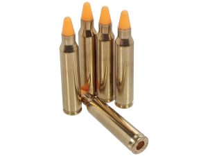 5.56MM/223 REM Training Cartridges, 5/bag